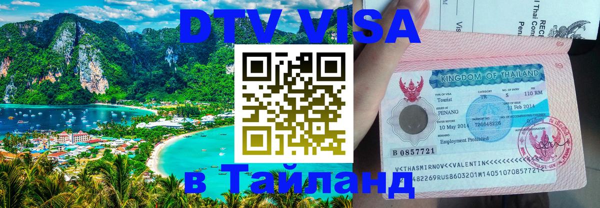 Оформление DTV визы под ключ: стоимость и тарифы, только загранпаспорт - 